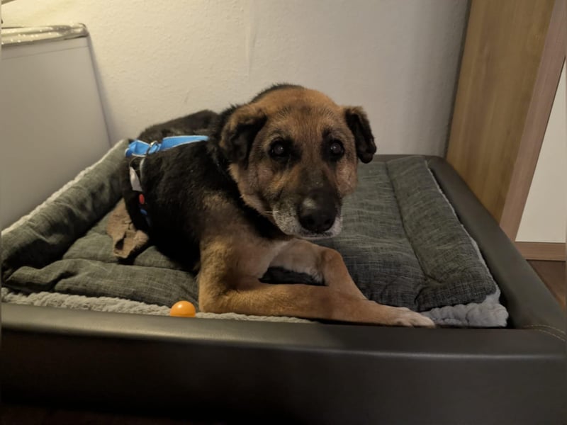 Helena, geb. 04.2026, 63cm, sucht ihr ihr Glück