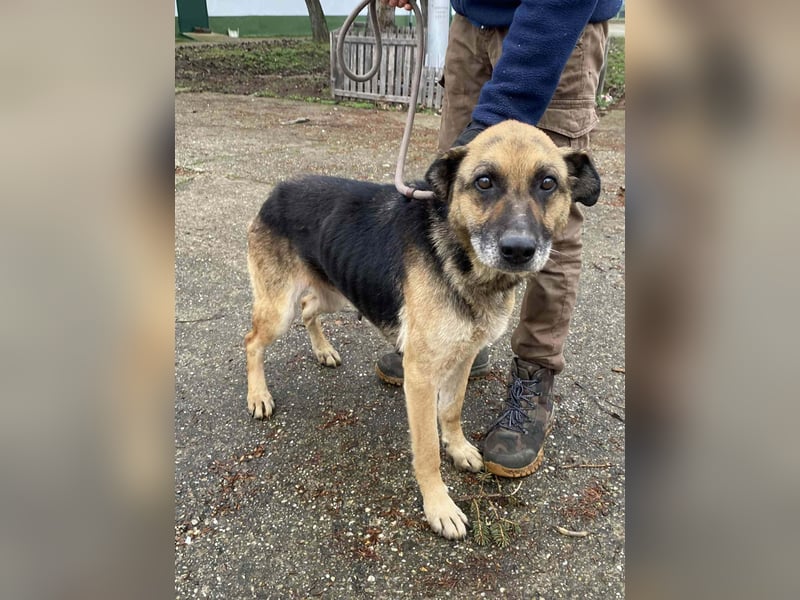 Helena, geb. 04.2026, 63cm, sucht ihr ihr Glück