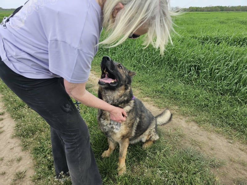Zeus, geboren 16.12.2019, 58cm sucht sein für immer Zuhause