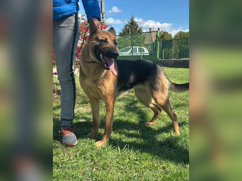 Sky, geboren 15.06.2025, 60cm sucht ihre Menschen