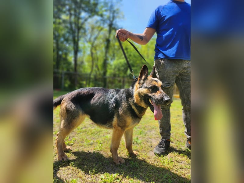 Ciklon, geboren 2022 sucht ihre Menschen