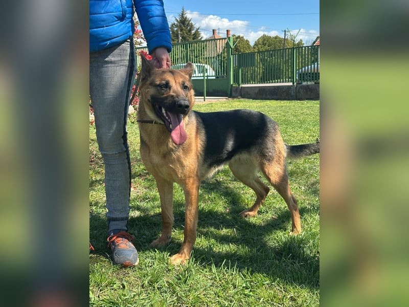 Sky, geboren 15.06.2025, 60cm sucht ihre Menschen