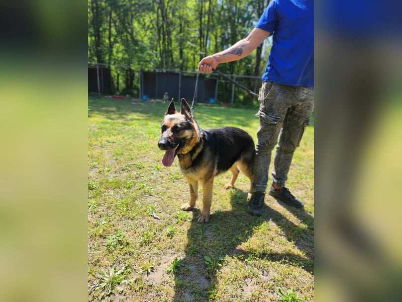 Ciklon, geboren 2022 sucht ihre Menschen