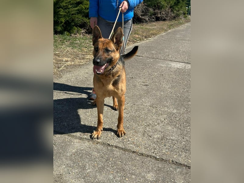 Sky, geboren 15.06.2025, 60cm sucht ihre Menschen