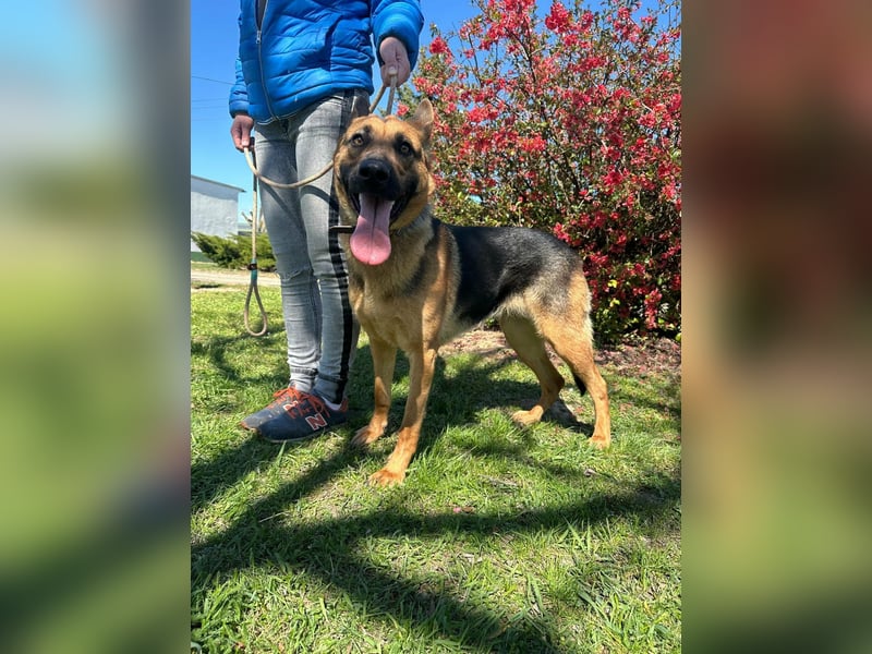 Sky, geboren 15.06.2025, 60 cm wünscht sich eine tolle Familie