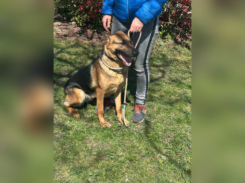 Sky, geboren 15.06.2025, 60cm sucht ihre Menschen