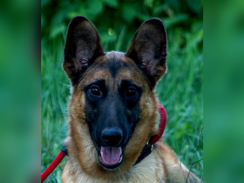 **NOTFALL** Cash - Fröhlicher Cash sucht Liebhaber!