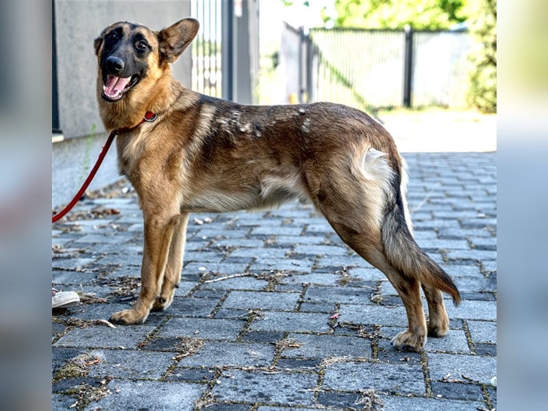 **NOTFALL** Cash - Fröhlicher Cash sucht Liebhaber!