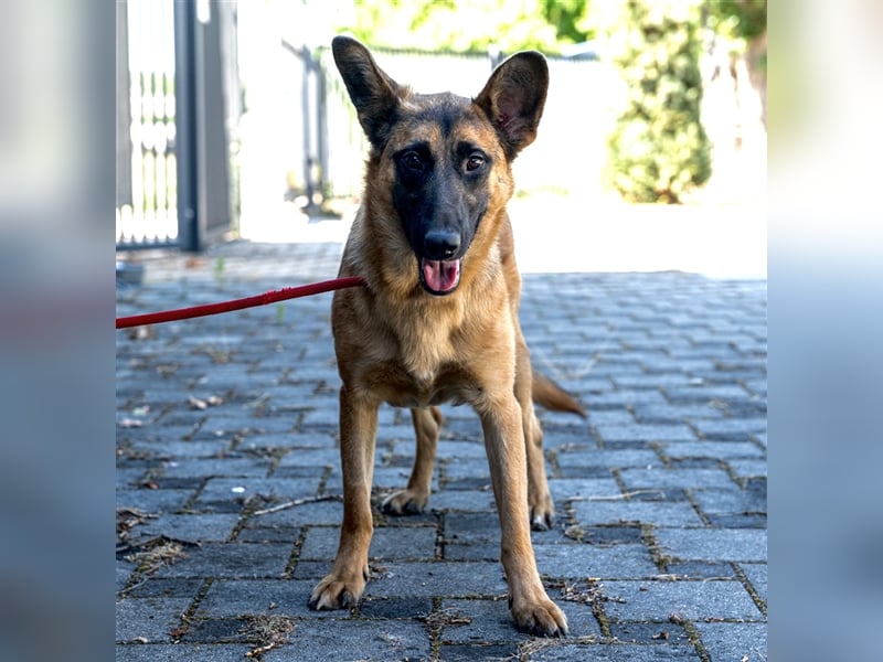 **NOTFALL** Cash - Fröhlicher Cash sucht Liebhaber!