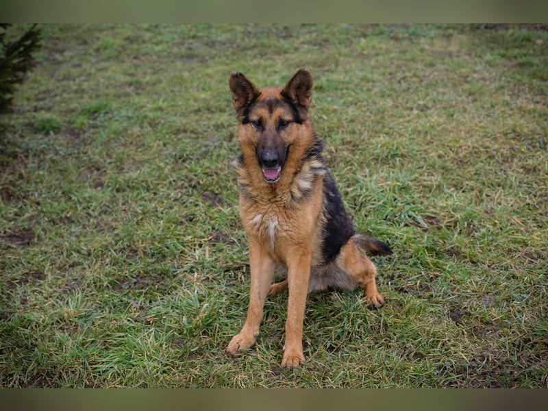 MONGI - Ich freue mich darauf, mit meinen Menschen die Welt zu entdecken!