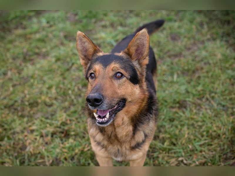 XAVER - ich möchte mit meinen Menschen zusammen die Welt entdecken!