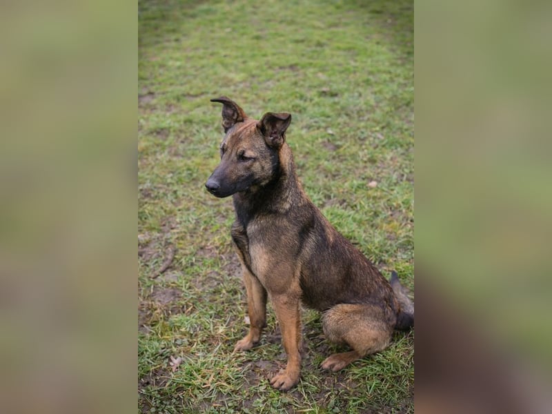 STELLA - Abenteuerlust, Spielfreude, Menschenliebe + eine ganze Menge Schönheit bringt die Maus mit!