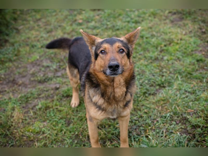 XAVER - ich möchte mit meinen Menschen zusammen die Welt entdecken!