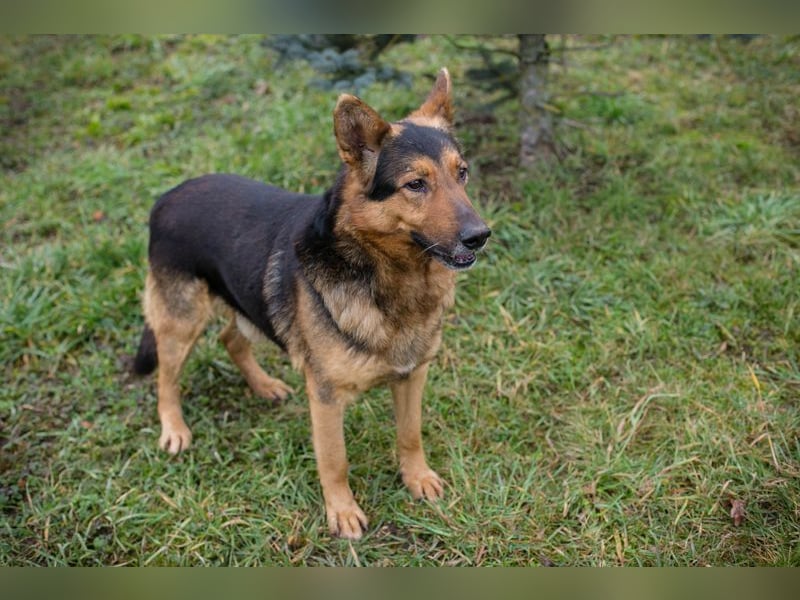 XAVER - ich möchte mit meinen Menschen zusammen die Welt entdecken!