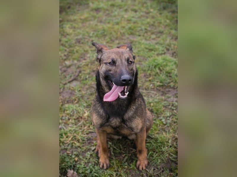 STELLA - Abenteuerlust, Spielfreude, Menschenliebe + eine ganze Menge Schönheit bringt die Maus mit!