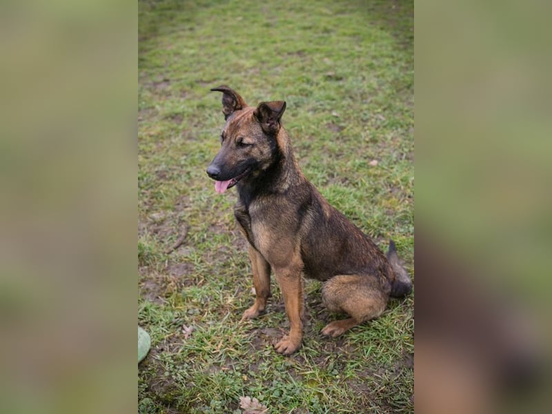 STELLA - Abenteuerlust, Spielfreude, Menschenliebe + eine ganze Menge Schönheit bringt die Maus mit!