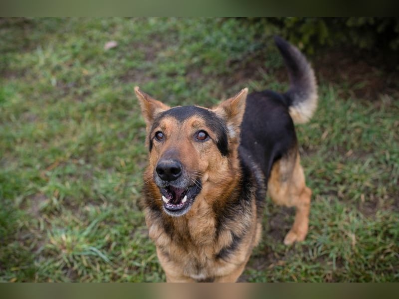 XAVER - ich möchte mit meinen Menschen zusammen die Welt entdecken!