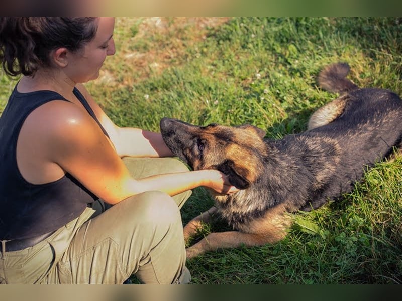 BELLA V - zurückhaltende, schüchterne Hündin sucht eine hundeerfahrene Familie, die ihr Zeit gibt