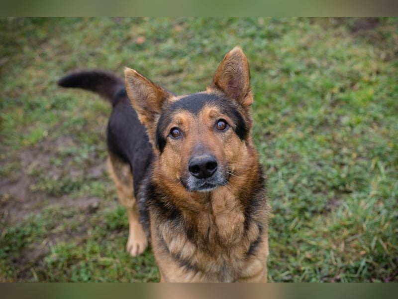 XAVER - ich möchte mit meinen Menschen zusammen die Welt entdecken!