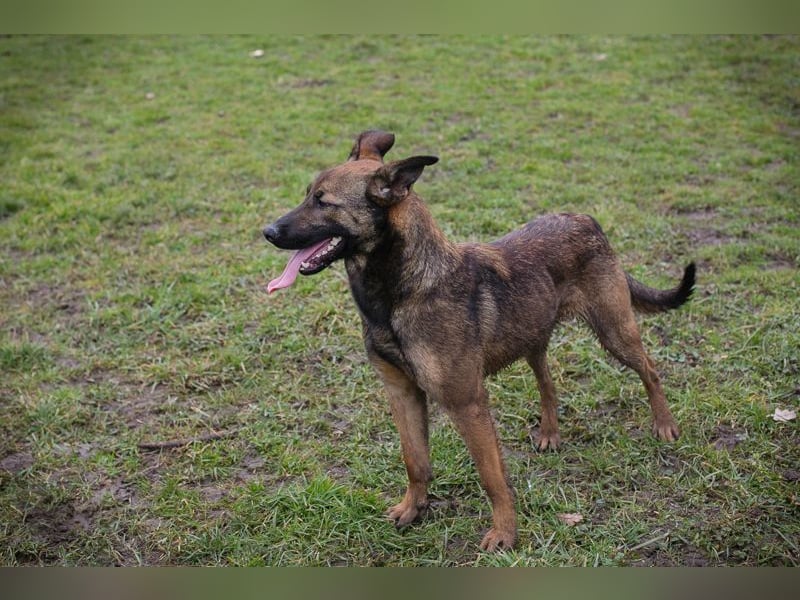STELLA - Abenteuerlust, Spielfreude, Menschenliebe + eine ganze Menge Schönheit bringt die Maus mit!