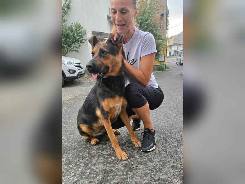 Dunda - aktiver Schäfi-Mix