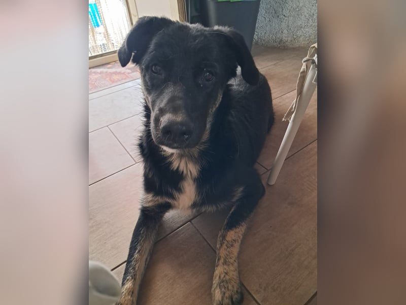 Teo sucht sein eigenes Sofa