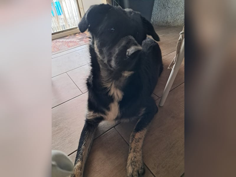 Teo sucht sein eigenes Sofa