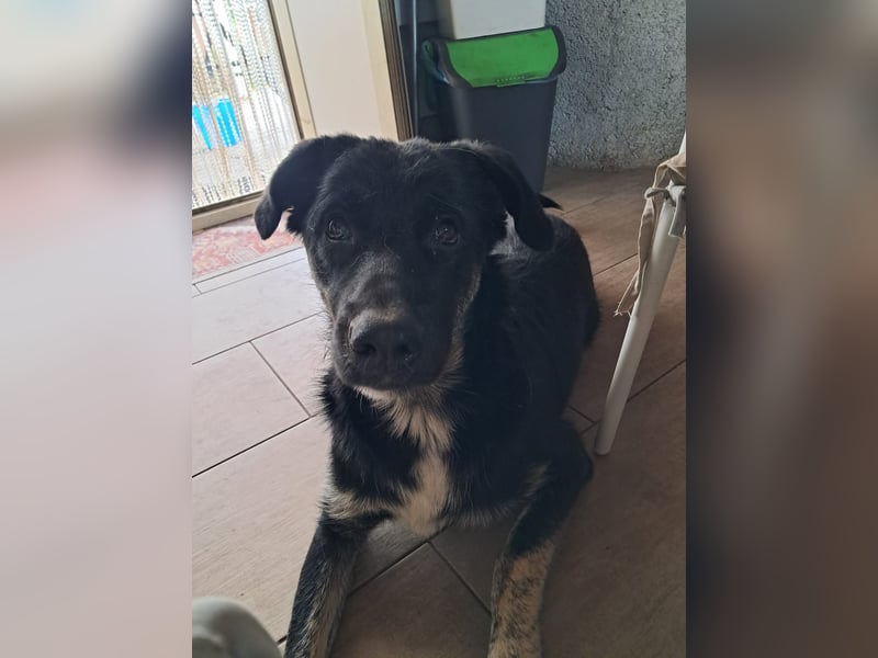 Teo sucht sein eigenes Sofa