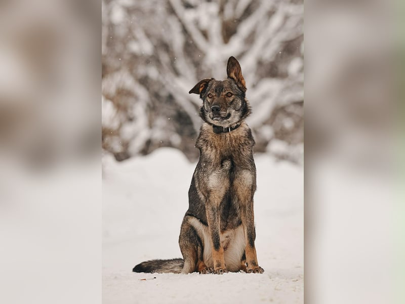 Freundliche Leyla sucht ihre Familie