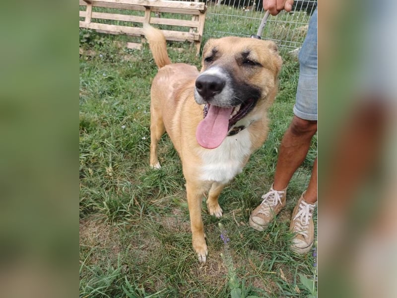 Batu VA - freundlich