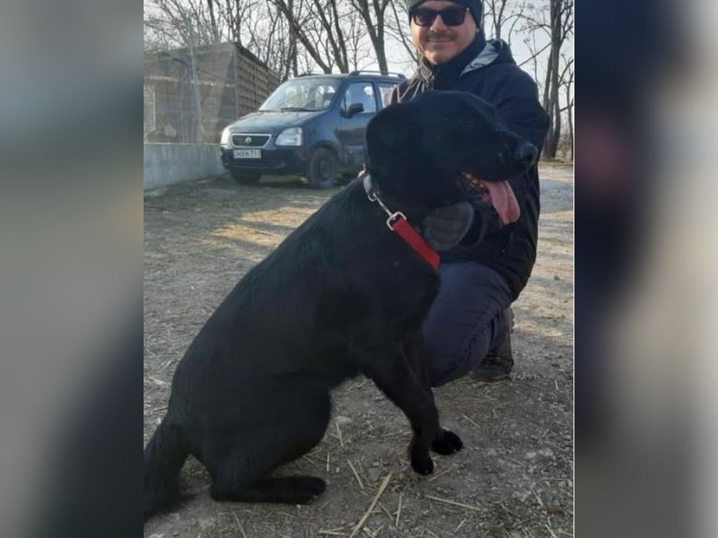 Cody VA - freundlich, kinderlieb