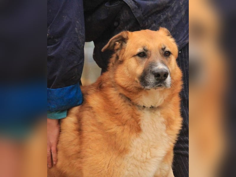 Batu VA - freundlich