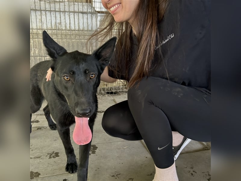 Nori sucht ihre ❤️-menschen