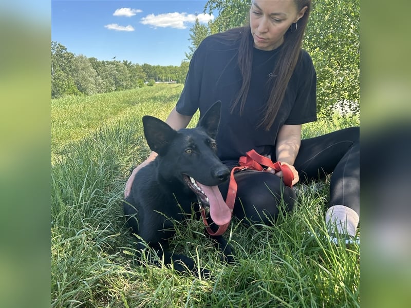 Nori sucht ihre ❤️-menschen