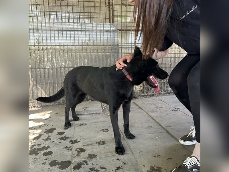 Nori sucht ihre ❤️-menschen