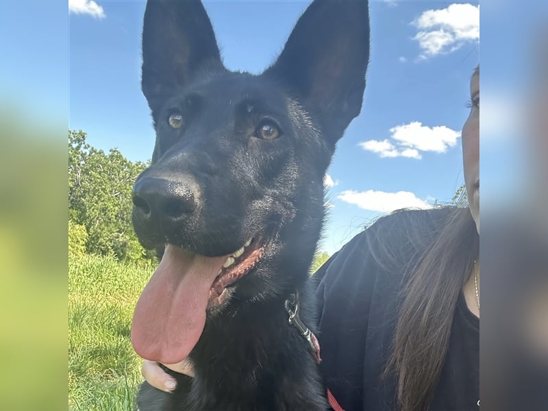 Nori sucht ihre ❤️-menschen