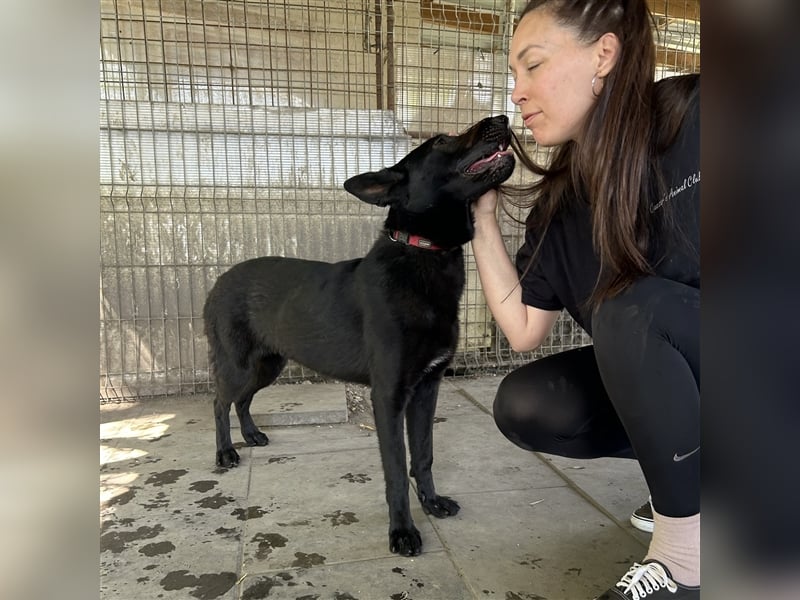 Nori sucht ihre ❤️-menschen