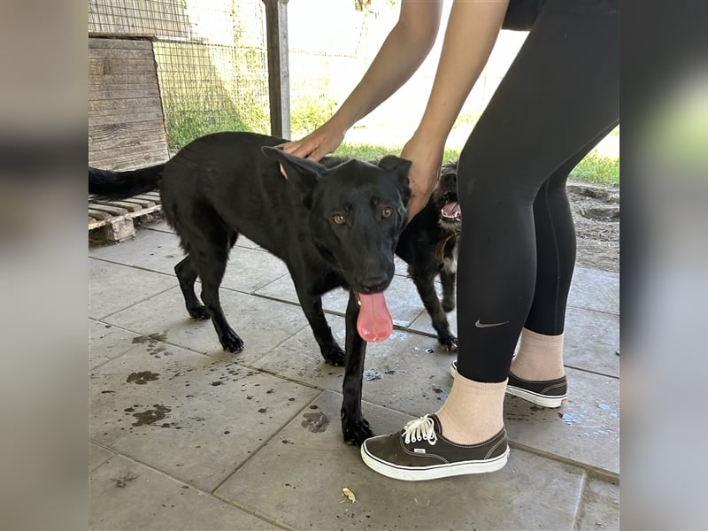 Nori sucht ihre ❤️-menschen