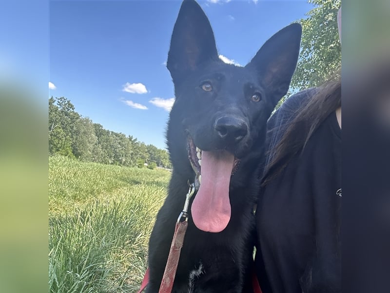 Nori sucht ihre ❤️-menschen