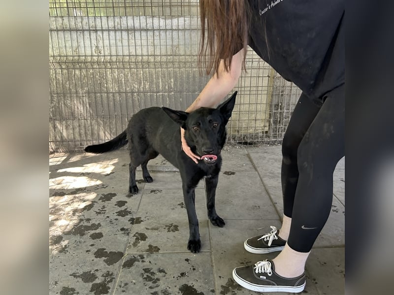 Nori sucht ihre ❤️-menschen