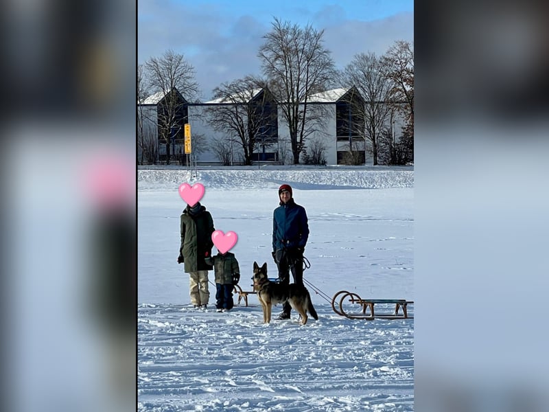 super liebe, treue Hündin aus dem Tierschutz bei München! :)