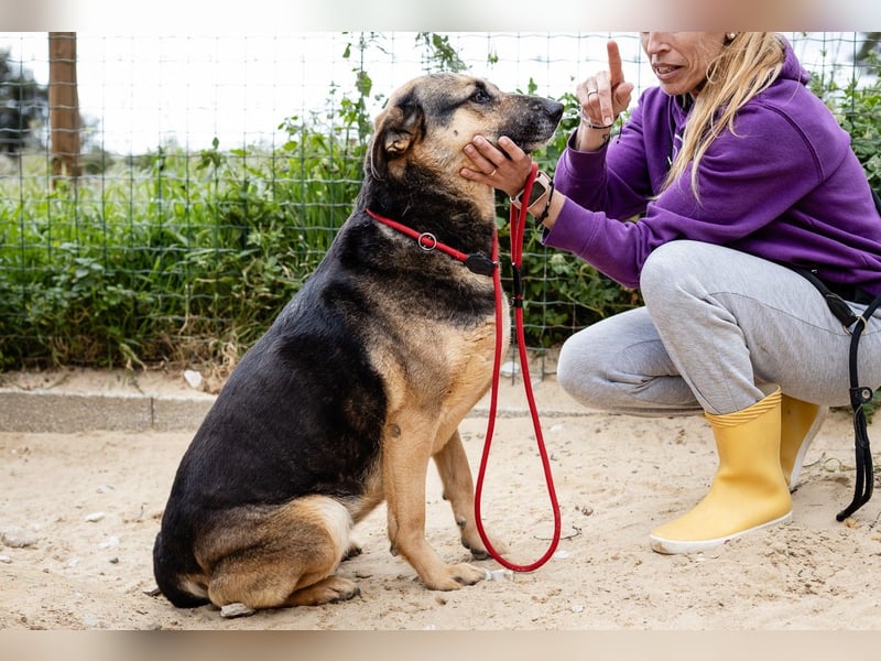 ♥️ Ellie • Nana ♥️ 2 von ~650 Hunden in der Cantinho da Milu