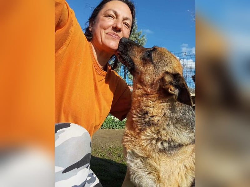 Big Ira, liebenswerte Hündin, ca. 9 Jahre, ca. 59 cm, ca. 33 kg