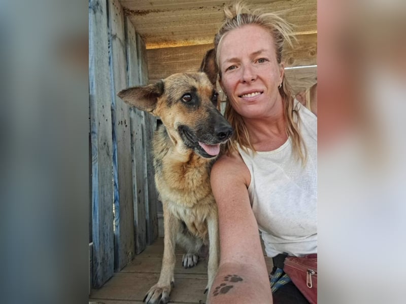 Big Ira, liebenswerte Hündin, ca. 9 Jahre, ca. 59 cm, ca. 33 kg