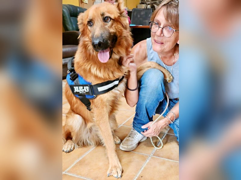 Sudan - verschmust,lerinfreudig, freundlich und BEREITS IN DEUTSCHLAND