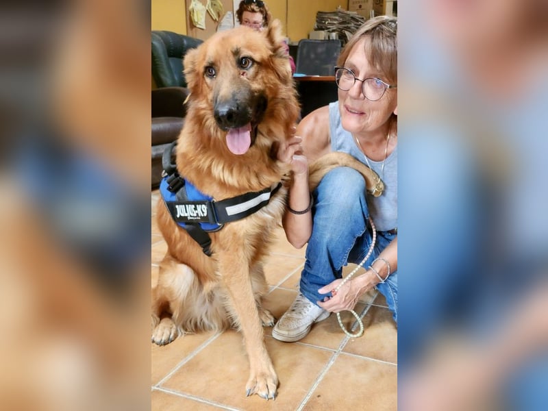 Sudan - aufmerksam, genießt Streicheleinheiten und verspielt