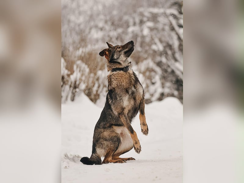 Aktive Leyla sucht ihre Familie