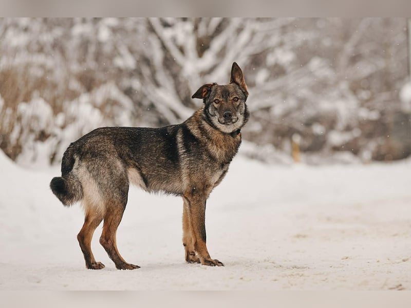 Aktive Leyla sucht ihre Familie