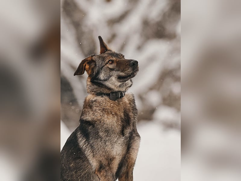 Aktive Leyla sucht ihre Familie