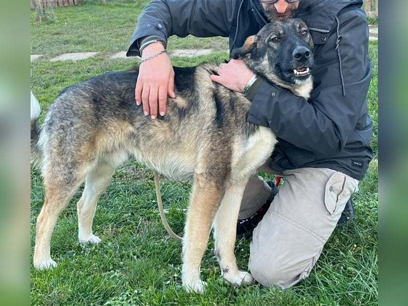 Lupo